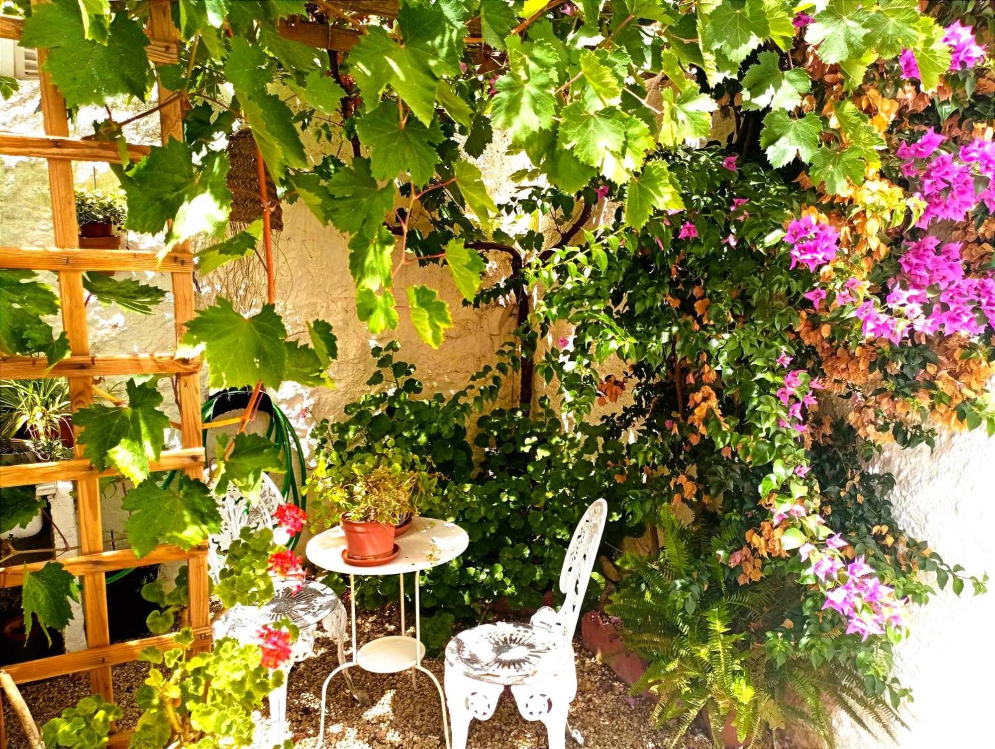 Casa Shyshka Country Cottage Periana Zewnętrze zdjęcie