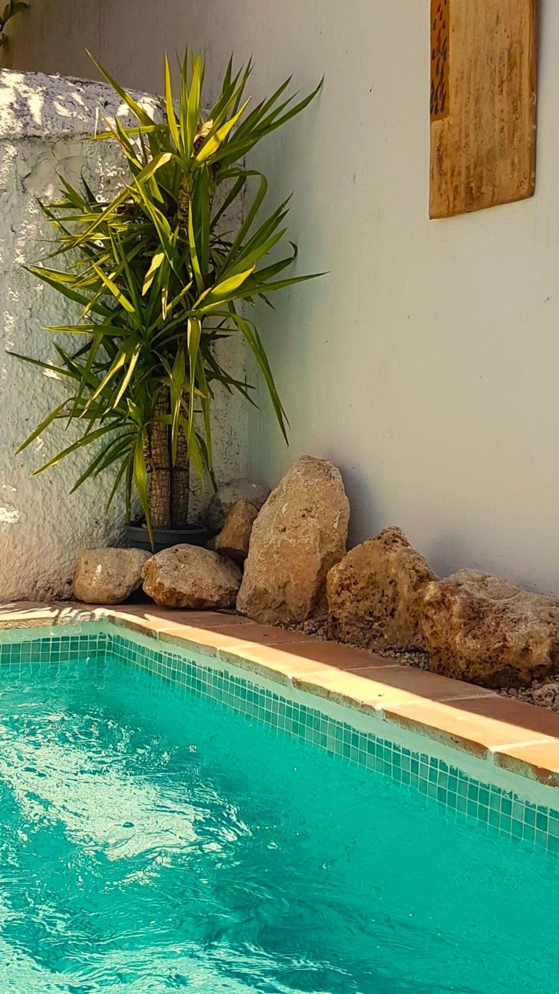 Casa Shyshka Country Cottage Periana Zewnętrze zdjęcie